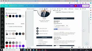 Comment Créer un CV PROFESSIONNEL CAPTIVANT avec CANVA [upl. by Mcintosh221]