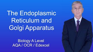 A Level Biology Revision quotThe Endoplasmic Reticulum and Golgi Apparatusquot [upl. by Nnauol]