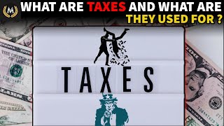 When Was The TAX System Invented [upl. by Nnylanna]