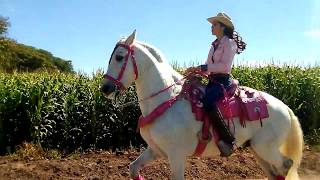 El Caballo Blanco Baila por El Campo [upl. by Bocock]