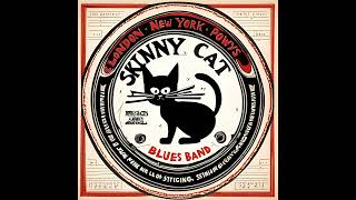 Matchbox  Skinny Cat Blues Band [upl. by Tisbe486]