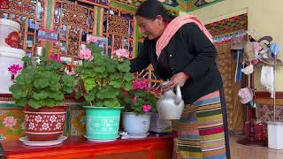 Visiting the home of a Carpenter in Gyangtse A Unique Tibet Tour Experience when Travel with Me [upl. by Attevaj661]