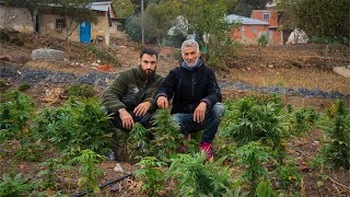 Viví con un PRODUCTOR de HACHÍS en Marruecos [upl. by Krischer]