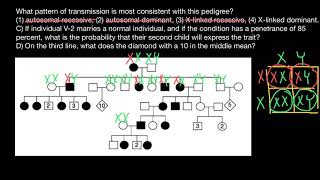 How to analyze pedigrees and solve problems [upl. by Emmuela]