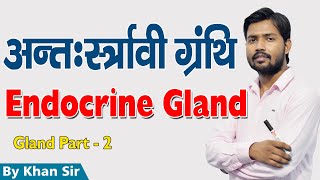 Endocrine Gland  अंत स्रावी ग्रंथि  Part  2  Khan GS Research Center [upl. by Ennovihs]