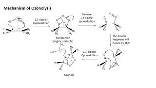 Ozonolysis  An overview in less than 7 minutes [upl. by Ainaj]