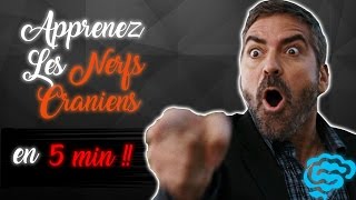 🔴 NE CONFONDEZ PLUS LES NERFS CRANIENS  part2  DR ASTUCE [upl. by Sukey]