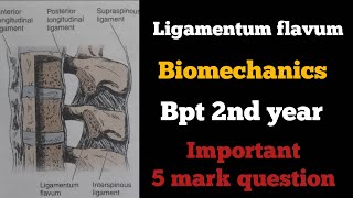 ligamentum flavum biomechanics in tamil ligaments of spinebiomechanics of spinebptbiomechanics [upl. by Eneiluj85]