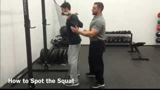 How to Spot The Barbell Squat [upl. by Ayeka]