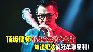 2024刘德华最新爆爽港片《潜行》，顶级律师化身全港最大毒枭，知法犯法疯狂牟取暴利！ [upl. by Persian]