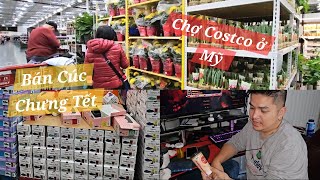 Costco ở Tampa Florida Có bán gì cho ngày tết [upl. by Kassaraba]