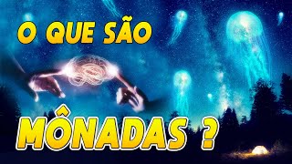 O QUE SÃO MÔNADAS [upl. by Zuliram]