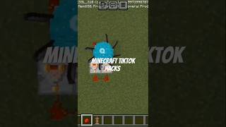 Minecraft tiktok hacks minecraft minecraftpe minecraft tiktok hacks [upl. by Izawa68]