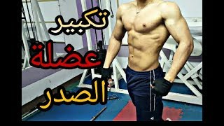 تمارين ستساعدك في تكبير الصدر في اقرب وقت ممكنSuperset Chest [upl. by La Verne742]