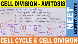 Amitosis Cell Division in Hindi  Direct Cell Division  Cell Cycle amp Cell Division  NEET 2020 [upl. by Nileuqaj]