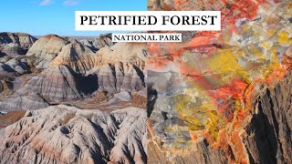 The vibrant colors of PETRIFIED FOREST National Park had us stunned  One Day Arizona Travel Guide [upl. by Ynolem]