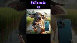 selfie mode on 😂 cat catcatfunnyfightcompilation animals [upl. by Animar]