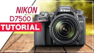 Nikon D7500 Tutorial  How To Setup Your DSLR [upl. by Morville]