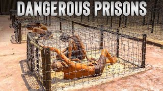 Prisons More Dangerous Than DEATH SHOCKING [upl. by Jared]