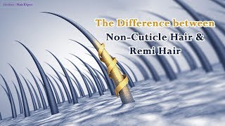 The Difference Between NonCuticle Hair amp Remi Hair  Limitless Hair Expert [upl. by Ayotac1]