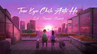 Tum Kyu Chale Aate Ho  Lofi  Slowed  Reverb [upl. by Nosemyaj]