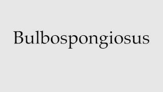 How to Pronounce Bulbospongiosus [upl. by Mosnar]