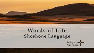 Words of Life  Shoshone Language [upl. by Ossy]