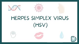 Herpes Simplex Virus HSV Treatment and Impact on Oral and Genital Regions [upl. by Fabron]