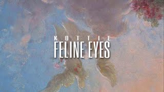 ⚜ FS1 extremely powerful feline eyes affirmations [upl. by Cryan]