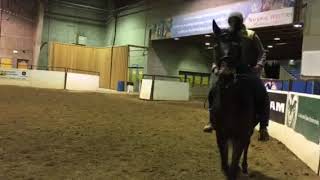 Nahshon Cook at Rocky Mountain Horse Expo March 11 2018 [upl. by Yorled]