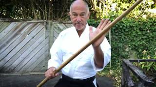 Basic principles of bokken practice [upl. by Shirl915]