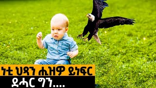 ህፃን ቆልዓ ሒዙ ዝነፈረ ኣሞራ ዝገበሮ ንብዙሓት ዘገረመ ነገር [upl. by Delisle411]