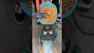 Feed pellet machine farming satisfying [upl. by Gotcher482]