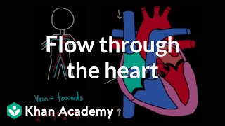 Flow through the heart  Circulatory system physiology  NCLEXRN  Khan Academy [upl. by Welcome]