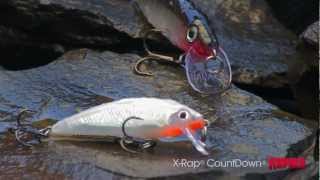 Rapala® XRap® CountDown® [upl. by Howzell]