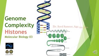 Genome Complexity Histones  Molecular Biology 03 [upl. by Okoy]