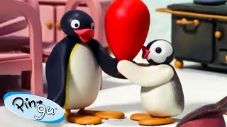 Pingu and Pinga Dont Want to Go to Bed  Pingu Official  1 Hour  Cartoons for Kids [upl. by Ahsitam]