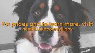 Lake Countys IL LowCost Pet Vaccination and Microchip Clinics [upl. by Karwan]