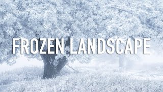 Landscape Photography in a Frozen Wilderness [upl. by Inal799]