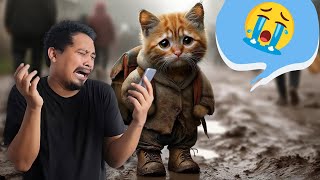 AI Cat Stories  Sad Meow Meow Song Meme Compilation 2024 [upl. by Rellek54]