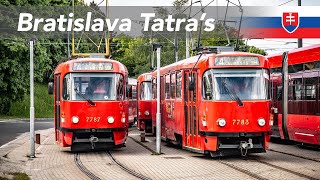 🇸🇰 Tatra trams in Bratislava [upl. by Amorita]