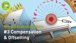 Why Biodiversity Matters 3 Compensation amp Offsetting [upl. by Intruoc]