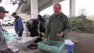 Pattullo Bridge Replacement  Eulachon Spawning Study 2020 [upl. by Justino414]