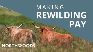 MAKING REWILDING PAY  The Kinkell Byre Story [upl. by Georgianne164]