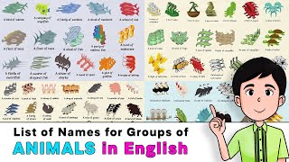 List of Names for Groups of Animals in English  80 Collective Names for Animals [upl. by Arbmat375]