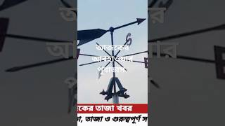 আজকের আবহাওয়ার পূর্বাভাস rain weather banglanews breakingnews shorts ytshorts [upl. by Zoellick245]