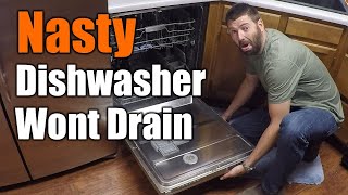 Easy Fix For Dishwasher That Wont Drain  THE HANDYMAN [upl. by Seif396]