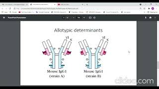 Isotype allotype idiotype بالعربي [upl. by Upshaw]