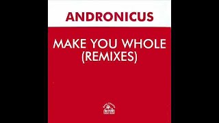 ANDRONICUS  MAKE YOU WHOLE LISA MARIE EXPERIENCE MIX [upl. by Eniruam]