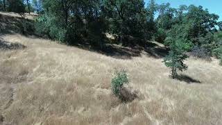 6 Beautiful Acres For Sale on Usona Rd in Mariposa [upl. by Markos45]